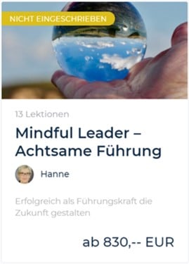 LCC - Mindful Leader