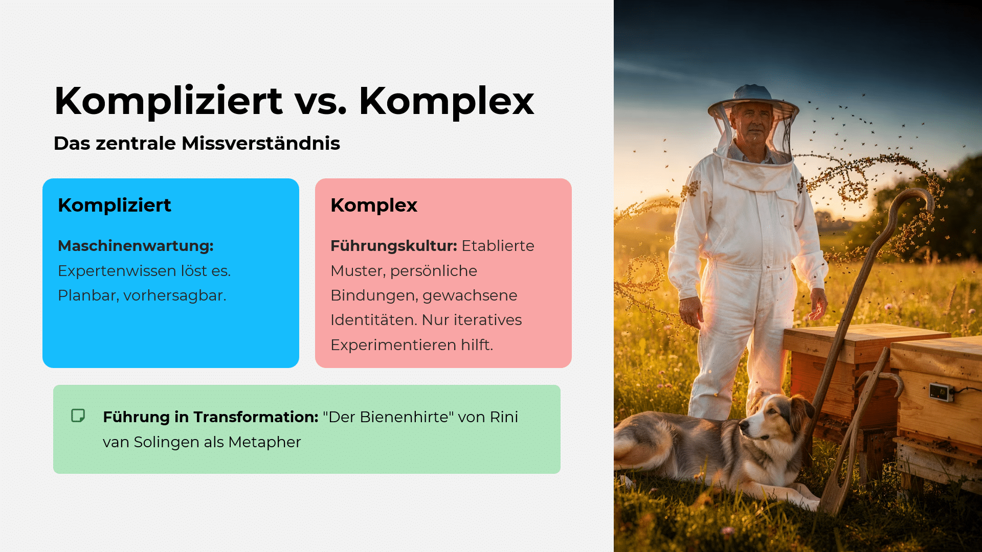 Die Metapher des Bienenhirten in KMUs
